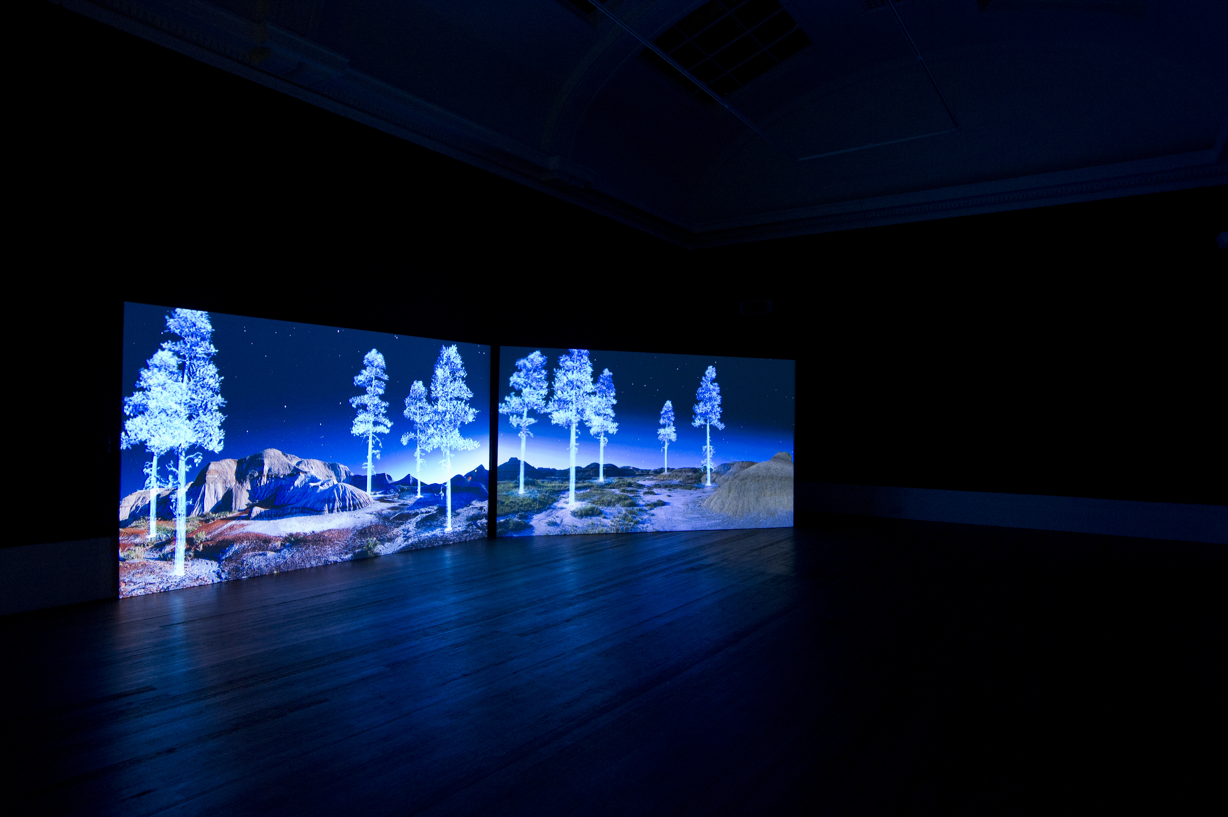 Installation of projected film on large 2 part screen. The film os of flickering trees in landscape. Included in the exhibition Kelly Richardson: Legion.